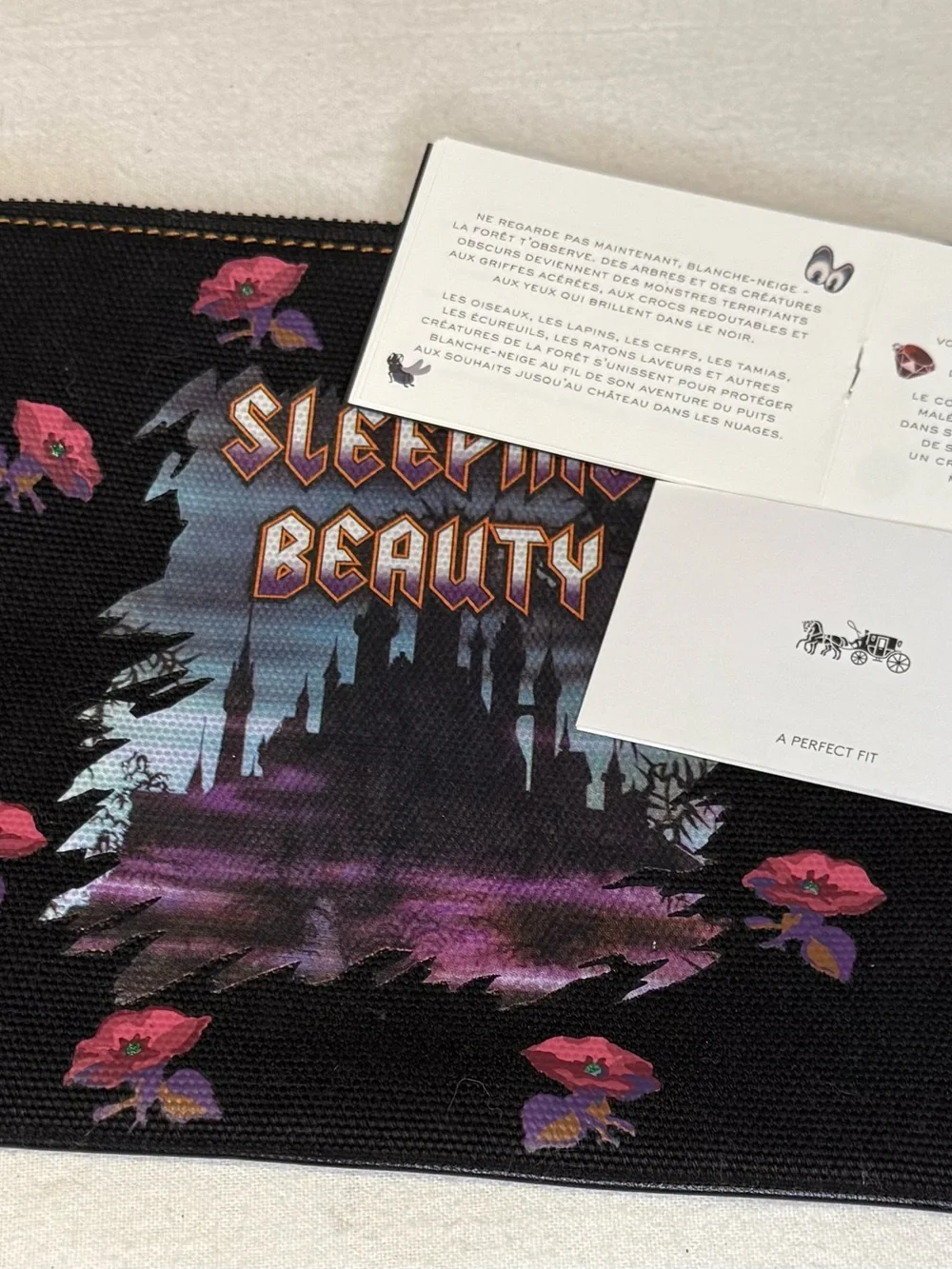 Disney x Coach 